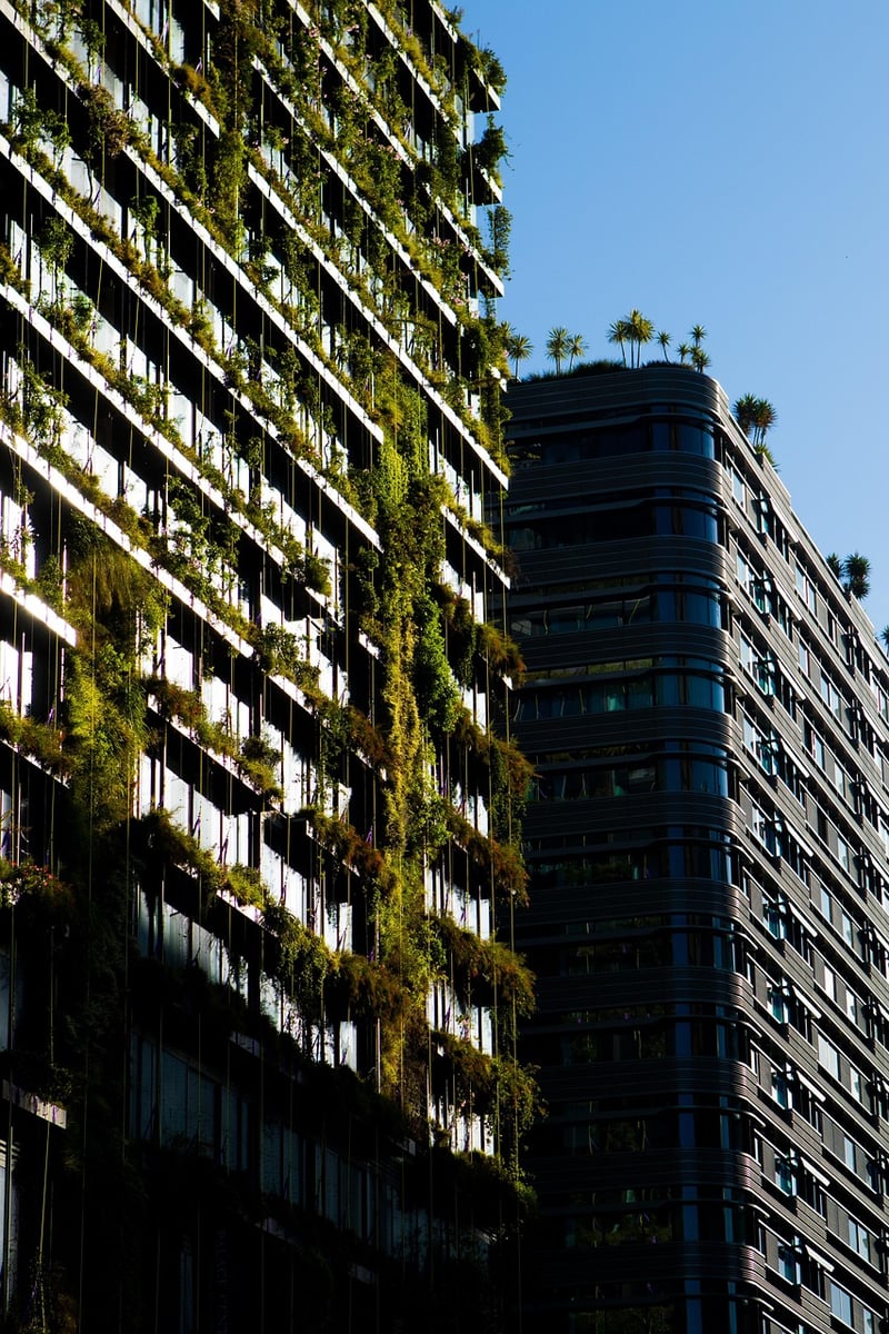 Outdoor Green Wall in Urban Park